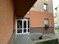 IMG_6379.jpg
